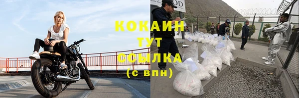 сатива Нея