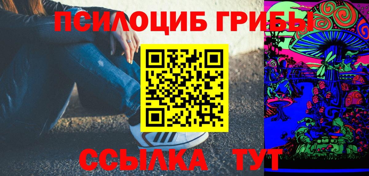 Галлюциногенные грибы Psilocybe Александров
