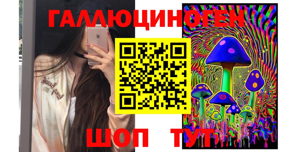 как найти   Псилоцибиновые грибы GOLDEN TEACHER  Вход с VPN  Александров 