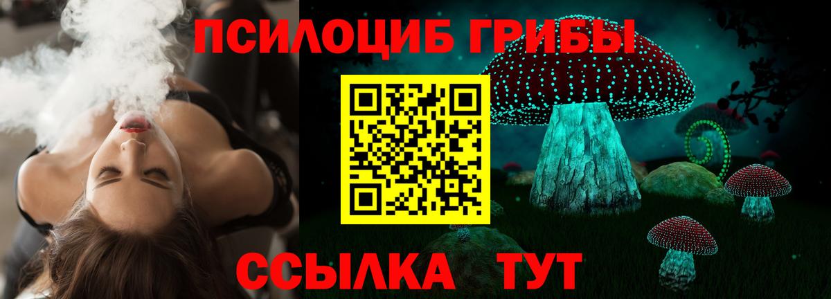 Галлюциногенные грибы мухоморы Александров